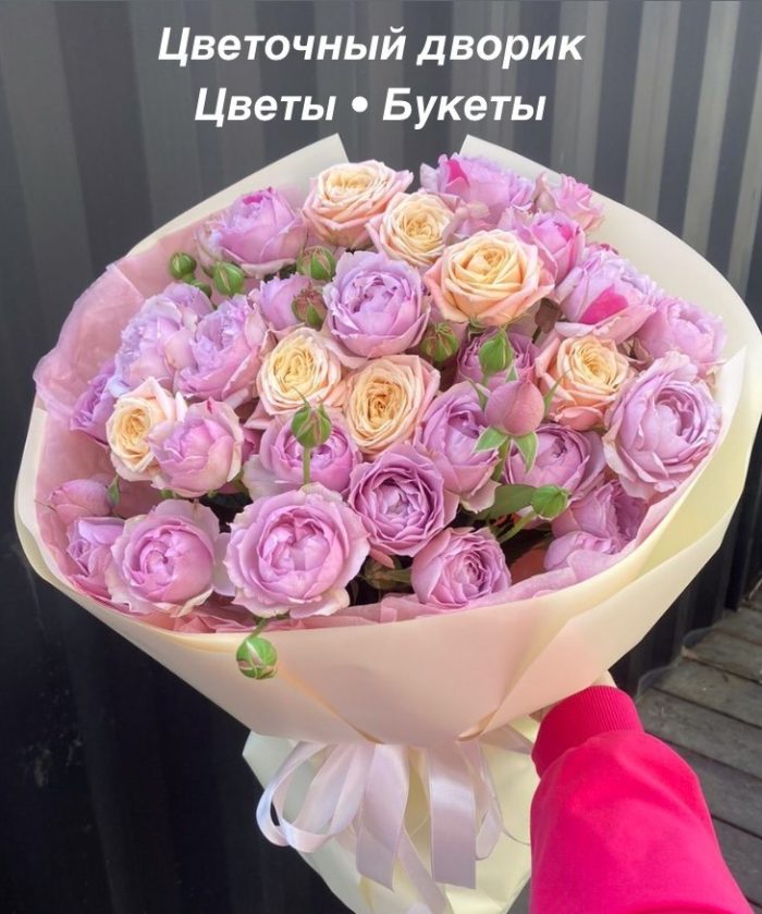 Мисти
