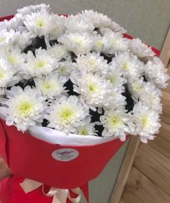 Хризантемки