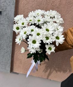 Хризантема Балтика (Копировать)