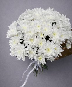 Хризантема Балтика