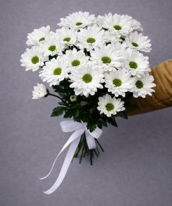 Хризантема шик