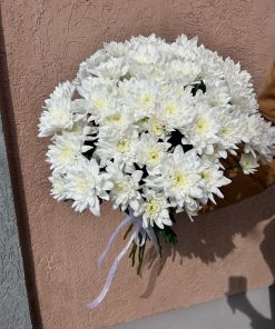 Хризантема Балтика