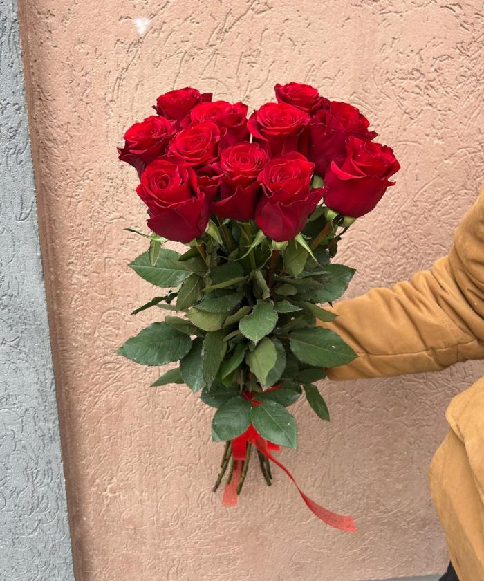 Роза эквадор 70см